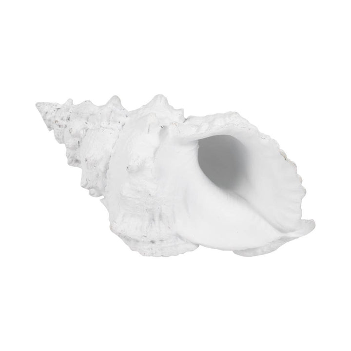 White Coastal Solid Conch Shell