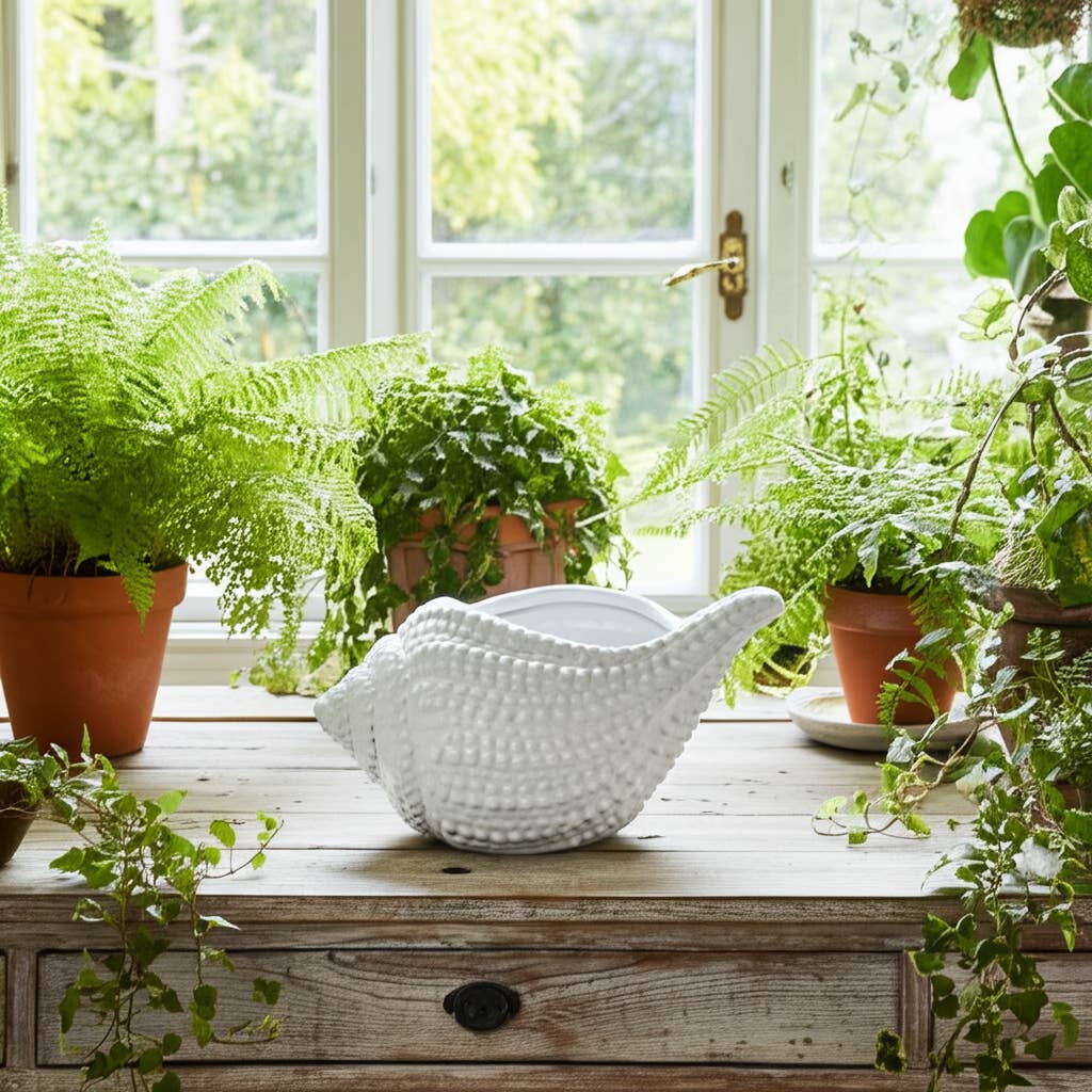 White Ceramic Coastal Seashell Planter