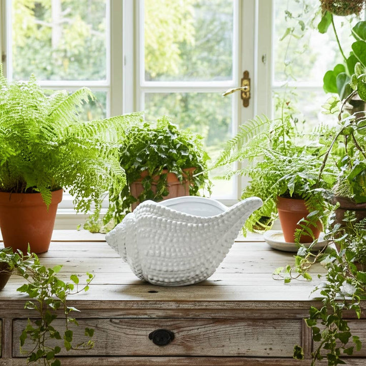 White Ceramic Coastal Seashell Planter
