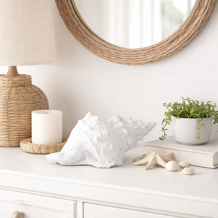 White Coastal Solid Conch Shell