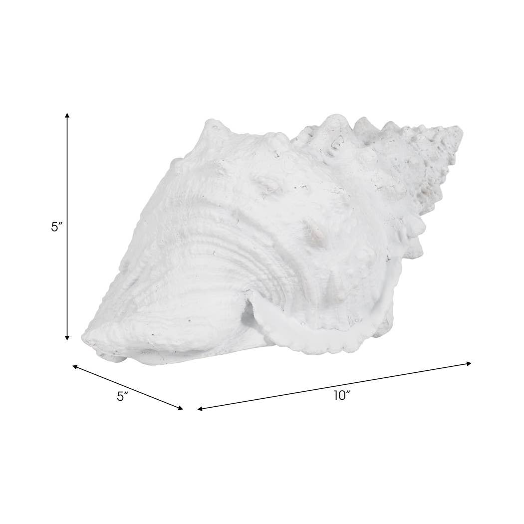 White Coastal Solid Conch Shell