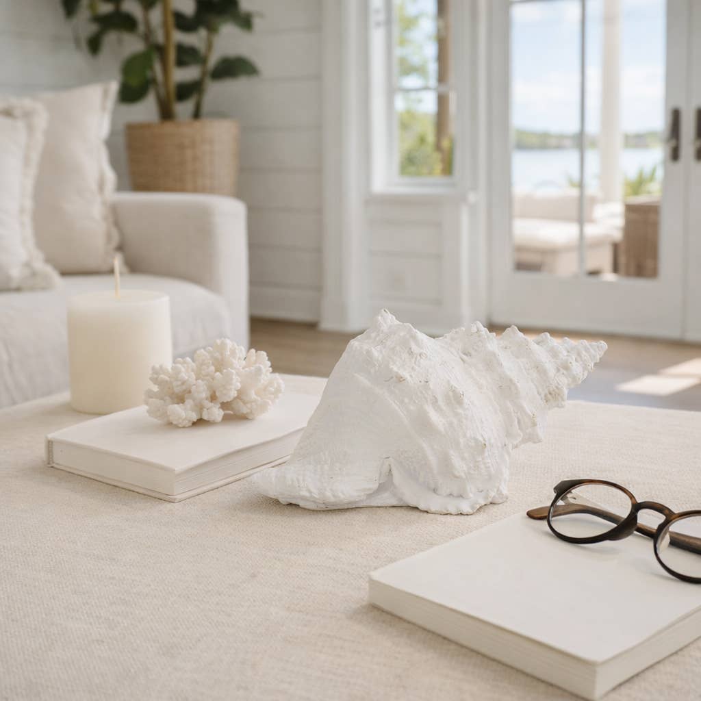 White Coastal Solid Conch Shell