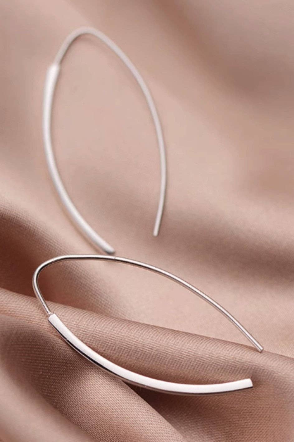 Silver Stainless Steel Simple Hook Earring