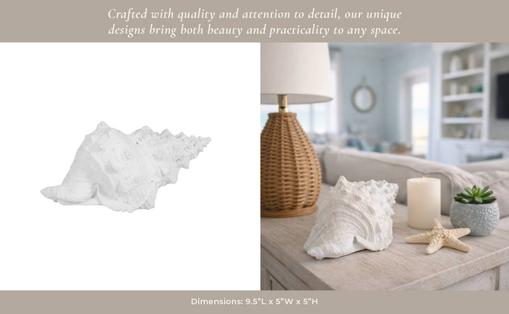 White Coastal Solid Conch Shell
