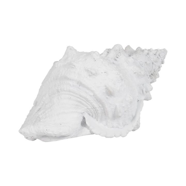 White Coastal Solid Conch Shell