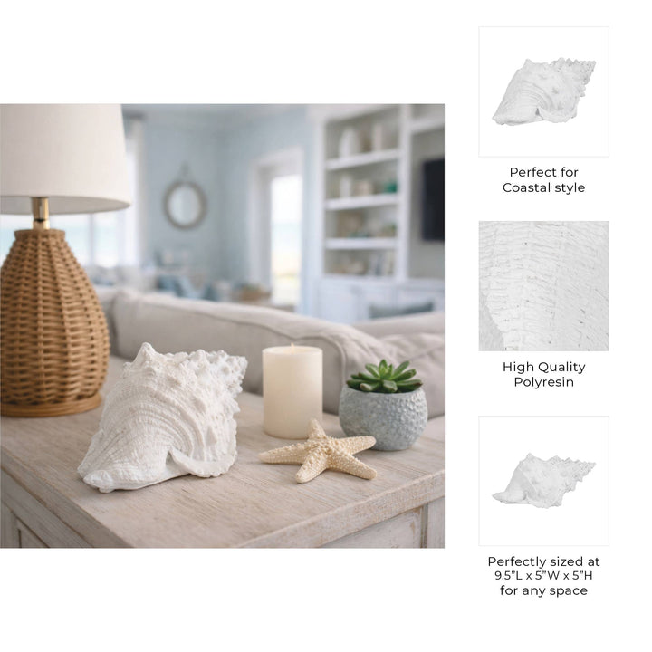 White Coastal Solid Conch Shell
