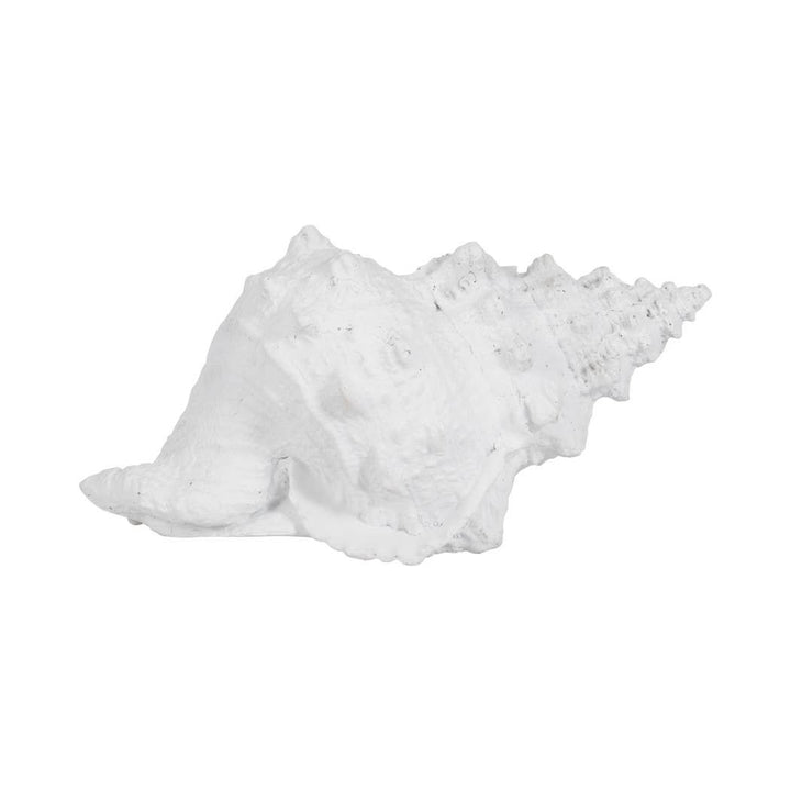 White Coastal Solid Conch Shell