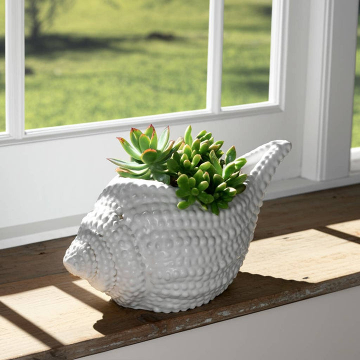 White Ceramic Coastal Seashell Planter