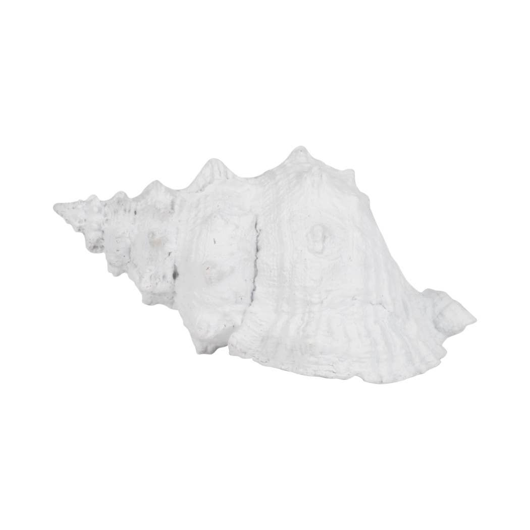 White Coastal Solid Conch Shell