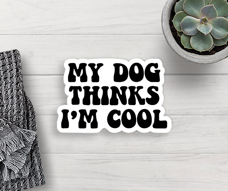 My Dog Thinks I&
