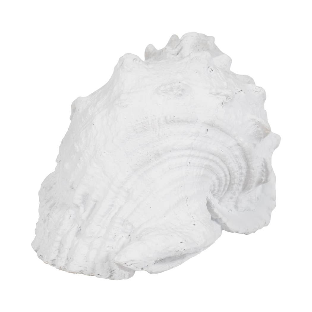 White Coastal Solid Conch Shell