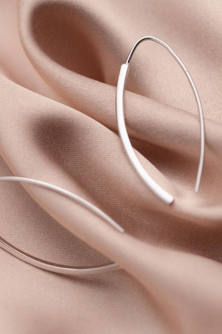 Silver Stainless Steel Simple Hook Earring