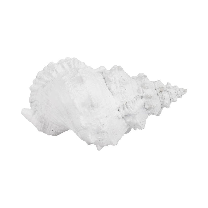 White Coastal Solid Conch Shell